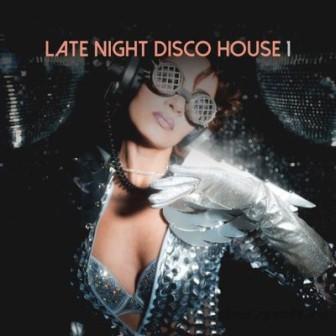 Late Night Disco House- /vol- 1/