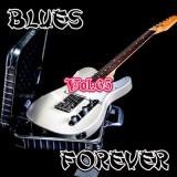 Blues Forever, vol-65