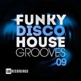 Funky Disco House Grooves vol.09 (2018) скачать через торрент