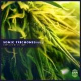 Sonic Trichomes Vol.2 (Compiled by DJ Kush)