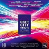 Night City Tribute - The Songs of Secret Service (2018) скачать через торрент