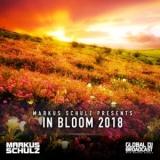 Markus Schulz - Global DJ Broadcast - In Bloom