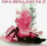 Vocal Drum & Bass Vol.12 [Compiled by ZeByte] (2018) скачать через торрент