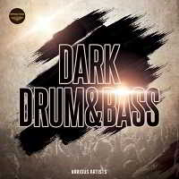 Dark Drum & Bass (2018) скачать торрент