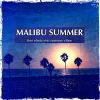 Malibu Summer (2018) скачать торрент