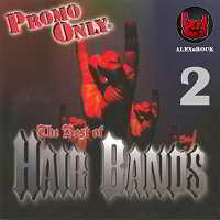 Promo Only Hair Bands [02]