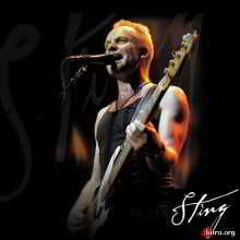 Sting / 21 Albums, 1 Box Set, 1 EP, 38 CD