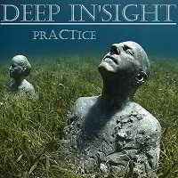 FAdeR WoLF - Deep in'Sight (Vol. II - prACTice)