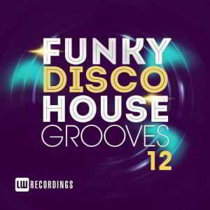 Funky New Disco House Grooves Vol. 12 (2018) скачать через торрент