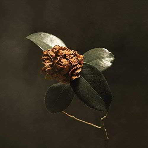 St. Paul & The Broken Bones - Young Sick Camellia (2018) скачать торрент
