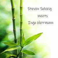 Steven Solveig, Ingo Herrmann - Steven Solveig Meets Ingo Herrmann