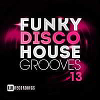 Funky Disco House Grooves Vol.13