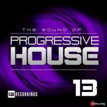 The Sound Of Progressive House Vol.13