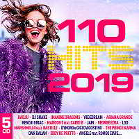 110 Hits 2019 [5CD]