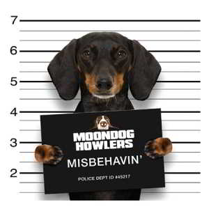 Moondog Howlers - Misbehavin' (2019) скачать через торрент