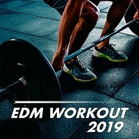 EDM Workout (2019) скачать через торрент