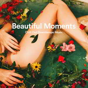 Beautiful Moments: Chill Out Downtempo Music (2019) скачать через торрент