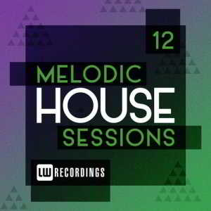 Melodic House Sessions, Vol.12 (2019) скачать через торрент