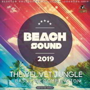 Beach Sound: The Velvet Jungle (2019) скачать через торрент