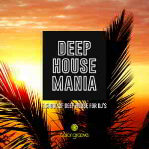 Deep House Mania [School Of Deep House For DJ's] (2019) скачать через торрент