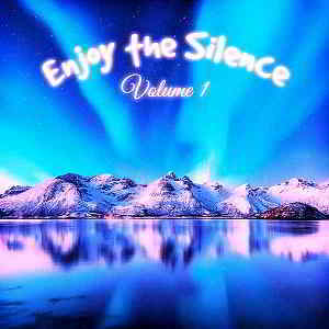 Enjoy The Silence Vol.1 [Andorfine Germany]