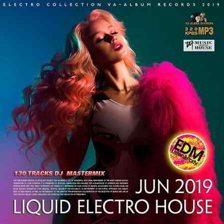 Liquid Electro Holuse (2019) скачать через торрент