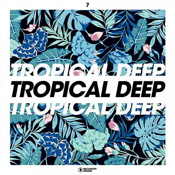 Tropical Deep Vol.7 (2019) скачать торрент