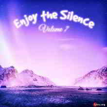 Enjoy The Silence Vol.7
