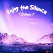 Enjoy The Silence Vol.7 (2019) скачать через торрент