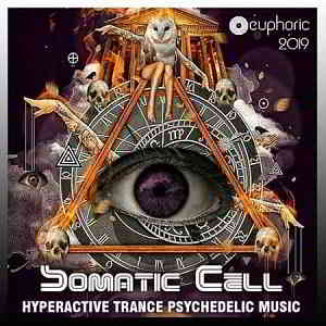 Somatic Cell: Hyperactive Psy Trance (2019) скачать через торрент