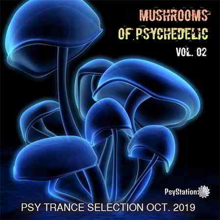 Mushrooms Of Psychedelic Vol.02 (2019) скачать торрент