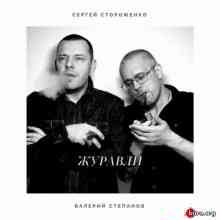 Сергей Стороженко и Валерий Степанов - Журавли