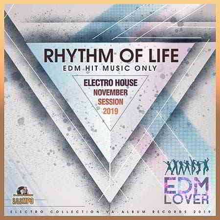 Rhythm Of Life: Electro House Session (2019) скачать через торрент