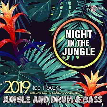 Night In The Jungle (2019) скачать через торрент