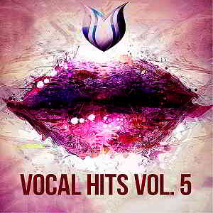 Vocal Hits Vol.5 (2020) скачать через торрент