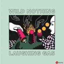 Wild Nothing - Laughing Gas