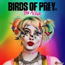 Birds of Prey - Хищные птицы: Потрясающая история Харли Квинн