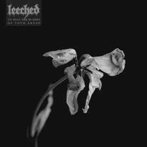 Leeched - To Dull the Blades of Your Abuse (2020) скачать торрент