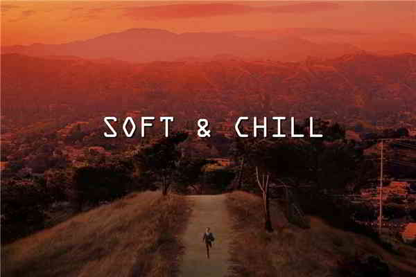 Soft & Chill (2020) скачать через торрент
