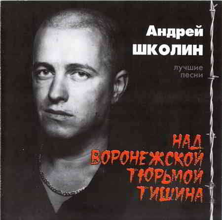 Андрей Школин - Над воронежской тюрьмой тишина (2004) скачать через торрент