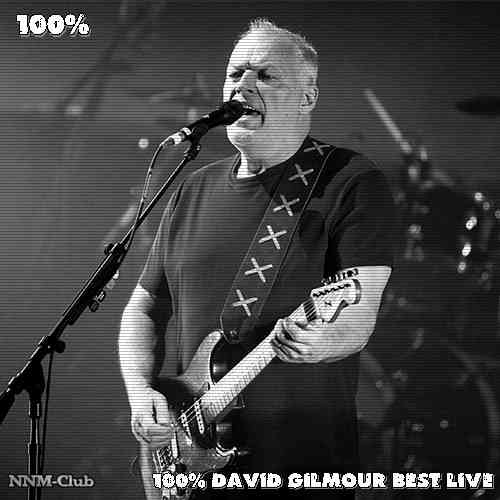 David Gilmour - 100% David Gilmour Best LIVE (2020) скачать через торрент
