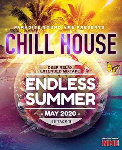 Endless Summer: Chill House Electro Mix (2020) скачать через торрент