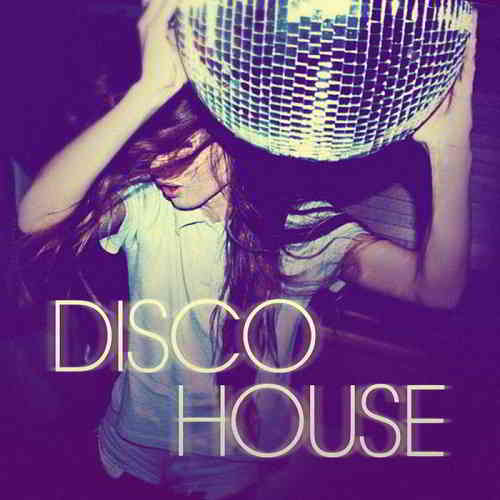 Disco House 1 (2020) скачать торрент