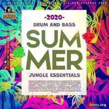 Summer Bass: Jungle Essentials (2020) скачать через торрент