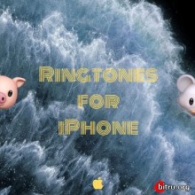 Popular Music Ringtones for iPhone (2020) скачать торрент