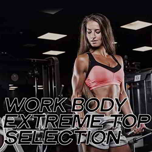 Work Body Extreme Top Selection (2020) (2020) скачать через торрент