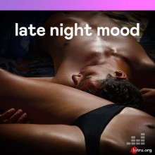 Late Night Mood (2020) скачать через торрент