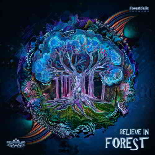 Believe in Forest (2020) скачать через торрент