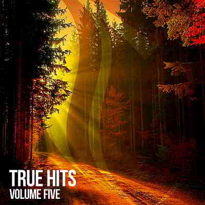 True Hits Vol. 5 (2020) скачать через торрент