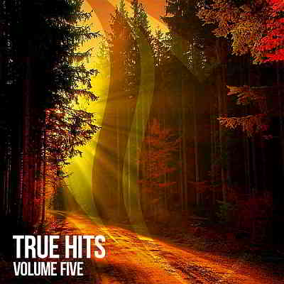 True Hits Vol. 5 (2020) скачать торрент